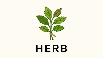 Herb: An HTML-Aware ERB Parser for Developer Tooling | Talk.rb