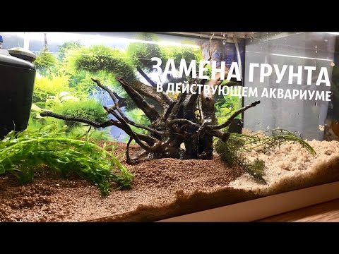 Видео: ЗАМЕНА ГРУНТА В ДЕЙСТВУЮЩЕМ АКВАРИУМЕ (#2) НА "DENNERLE KRISTALL-QUARZ" И "UDECO" l ПЕРЕЗАПУСК #2