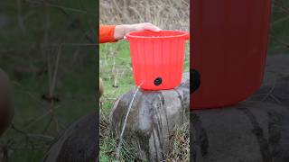 Secret Leak-Fixing Formula! 🤫🔥 | DIY Emergency Sealant 🤯 #camping #bushcraft #outdoors #survival