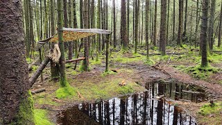 Working on the Swamp Shelter. Lots of rain and Axe throwing. by 3 Kings Adventures 272 views 2 months ago 25 minutes