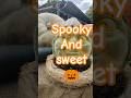 #pumpkinfestival #berlin #britzergarden #halloween #festivalvibes #pumkins#shortsviral