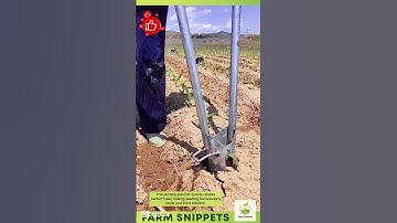 Speed Meets Precision: Smart Seedling Transplanter in Action 🌱🚜 #002