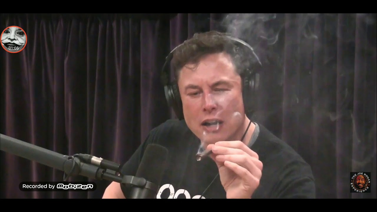 Elon Musk And Joe Rogan Smoke Weed (Blunt With Glass Tip Filter)
