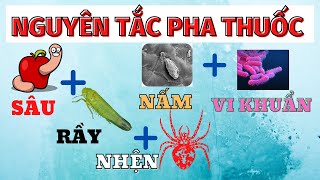 Các nguyên tắc pha thuốc | Cách kết hợp thuốc BVTV hiệu quả | Sâu rầy nhện nấm và vi khuẩn screenshot 4