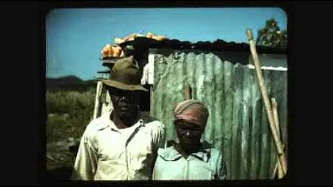 Cecil Barfield - Georgia Bottleneck Blues
