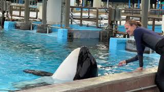 SeaWorld Inside Look | Orca Encounter Backstage FULL Tour 4K (1-8-23)