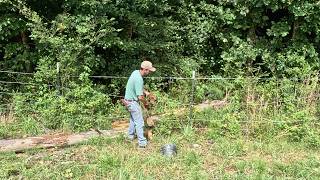 If A Tree Falls In The Woods... It's Going To Hit A Fence