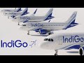 The Ultimate Indigo Fleet Breakdown