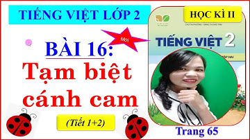 Tiếng Việt Lớp 2- Sách kết nối tri thức - Bài 16: TẠM BIỆT CÁNH CAM(TIẾT1+2)- #CÔVÂN