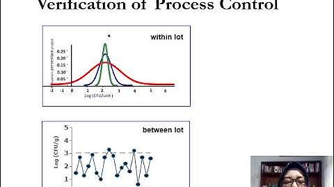 Lecture 10 Process  Control : Validation and Verification of Control Process