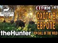 theHunter Call of the Wild #41 СТРИМ 🔫 - Охота в Европе - Штуцер, Револьвер, Ружьё