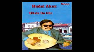 Hüdai Aksu Bitsin Bu Cile Resimi