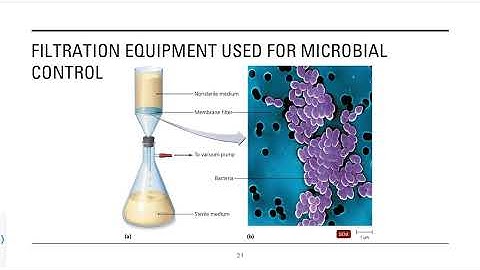 9.3 - Physical Methods of Microbial Control - Part B