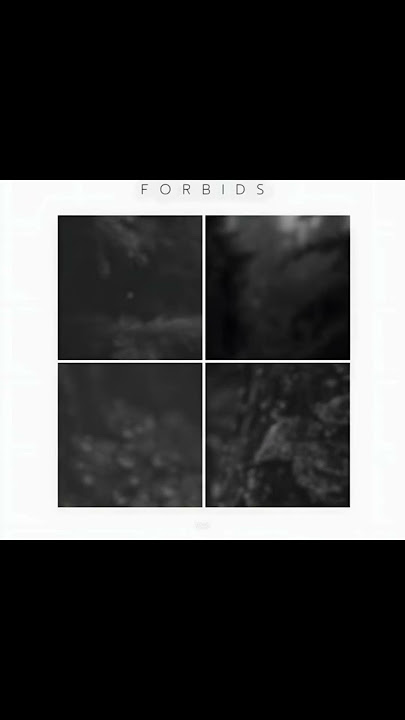 Logic Vibes & Sawibeatz - Metamorf #lofi