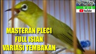 Download Mp3 MASTERAN PLECI || FULL ISIAN ! VARIASI TEMBAKAN !!! Gudang lagu Download Mp3 MASTERAN PLECI || FULL ISIAN ! VARIASI TEMBAKAN !!!