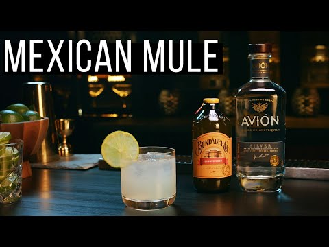 mexican-mule-|-avion-tequila-x-bundaberg-ginger-beer-|-mixology-|-how-to-recipe