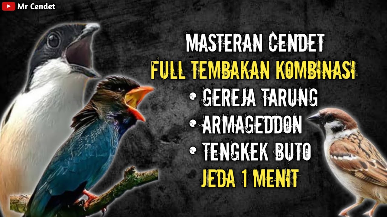 NGERIIII..!!!MASTERAN CENDET FULL TEMBAKAN KOMBINASI GEREJA TARUNG, ARMAGEDDON, DAN TENGKEK BUTO !!