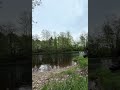 Calm Fishing in Sweden