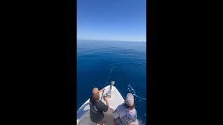 Information Dampier, Aus - Ruckus won the Dampier Classic releasing 38 Sailfish over 4-Days. News
