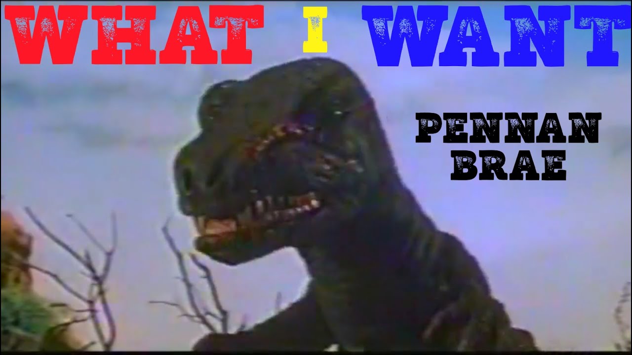 Pennan Brae - What I Want (Official Lyric Music Video)