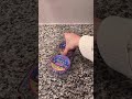 【ニトリ・ダイソー】冷蔵庫を整えたら生活変わった…!開けるたび気分が上がる収納術✨
