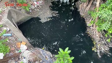 TP. HCM: “Báo động đỏ” trên các kênh, rạch tại quận Bình Thạnh