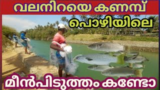 കടലുംകായലും ചേരുന്നിടത്ത് വലവീശി കണമ്പ്മീൻപിടുത്തം | Kanambu Fishing | Paravoor Pozhikkara |