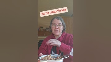 death by llama #funny #humor #llama #dream #dreams