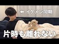 【神回】大好きなイケメン同期との初お泊まりで楽しい夜を過ごすトイプードル