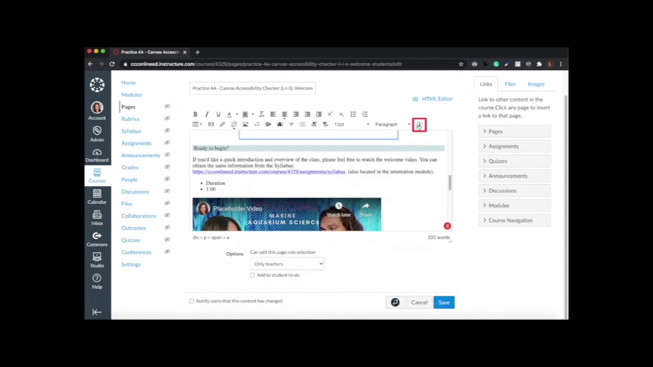 Canvas Accessibility Checker V2 720 YouTube