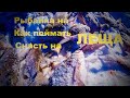 Лучшая снасть на леща // Как поймать леща // The best tackle for bream // How to catch bream