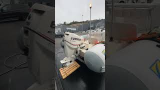 2009 Evinrude 115 E-tech