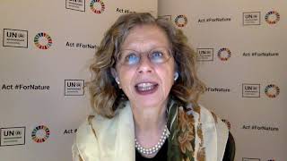 Universal recognition of the right to a healthy environment, video message by Ms Inger Andersen