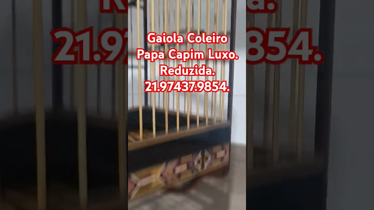 Gaiola Coleiro Papa Capim Luxo Reduzida.