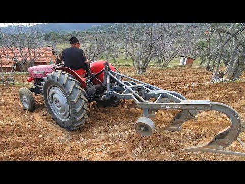 PULLUK KENDİNDEN BÜYÜK  ( Massey Ferguson 135 Lik )