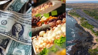Minimum wage, SNAP, tourism addressed in new state laws taking effect in 2026