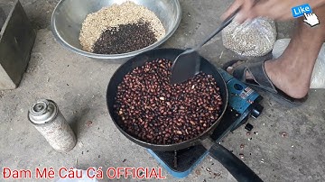 Bài Mồi Ngủ Cốc Chuyên câu cá trôi, chép, trắm, rô phi/Phần 1 #37