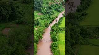 Inthy-Explorer@Nam Ha National Protected Area (Nam Ha NPA)Luang Namtha Province