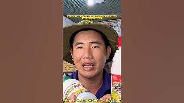 Cách phối thuốc bổ với thuốc trừ cỏ để diệt tất cả các loại cỏ trong vườn mì giai đoạn 30-60 cm