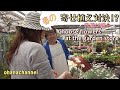 【春】寄せ植え対決!?花選び編🌸Choose Flowers at the Garden Store❕🌹