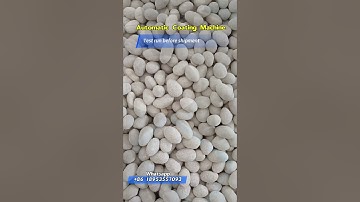 Automatic Peanut Coating Machine #peanutmachine #coatingmachine #automaticcoatingmachine #machine