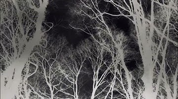 Exsil: Boxcutter Dirty Electro Breaks. (Re-upload) #bassmusic #breakbeat #beats #glitch #glitchhop