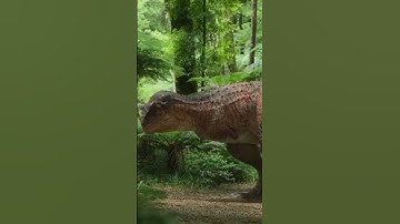 Learning dinosaurs facts for kids! | Carnotaurus