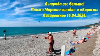 Народа много! 16.04.2024.Лазаревское Пляжи