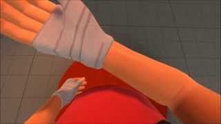 Scout First Person View Test SFM