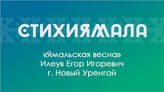 Участник: Илеув Егор (г. Новый Уренгой). «Ямальская весна»