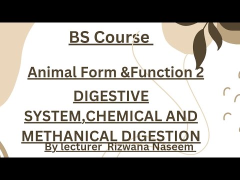 BS Zoology Animal Form and function course by Lecturer Rizwana Naseem # ...