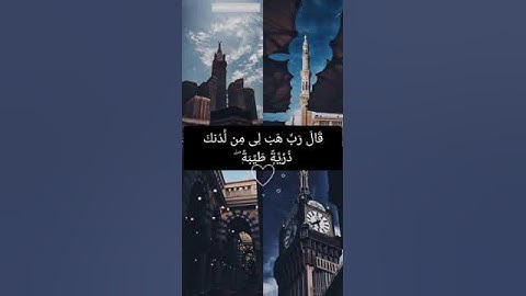 تلاوات خاشعة || حمزة بوديب || سورة العمران 🤍💜 #حمزة_بوديب #تلاوة_خاشعة #تلاوة