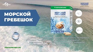 Морской гребешок   Елизавета Мельникова 16 04 2025г