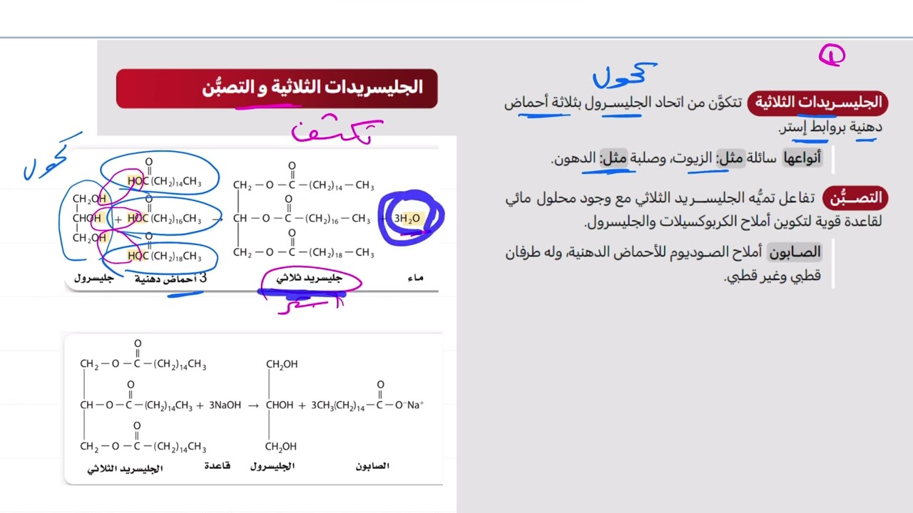 ١١- المركبات العضوية الحيوية (الجزء الثاني) تحصيلي ناصر عبدالكريم 2025